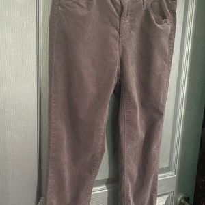 Velvet mauve AG pants